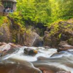 From Edinburgh: Full Day Scottish Highlands and Whisky Tour - Who Will Love This Tour?
