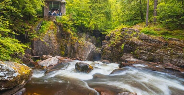 From Edinburgh: Full Day Scottish Highlands and Whisky Tour - Who Will Love This Tour?