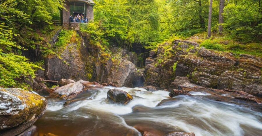From Edinburgh: Full Day Scottish Highlands and Whisky Tour - Who Will Love This Tour?