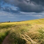 From Edinburgh: Glamis and Dunnottar Castles Tour in Italian - An In-Depth Look at the Glamis and Dunnottar Castles Tour