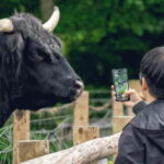 From Edinburgh: Stirling Castle, Kelpies and Loch Lomond - Final Thoughts