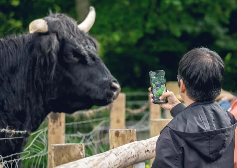From Edinburgh: Stirling Castle, Kelpies and Loch Lomond - Final Thoughts