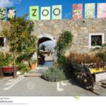 From Elounda Cretan Lasithi Plateau, Zeus Cave, Oldest Tree - The Itinerary: What to Expect at Every Stop