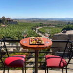 From Ensenada: Wine Tour at Guadalupe Valley Ensenada - A Deep Dive into the Guadalupe Valley Wine Tour