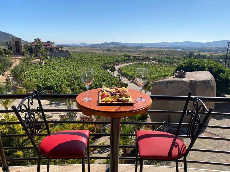 From Ensenada: Wine Tour at Guadalupe Valley Ensenada - A Deep Dive into the Guadalupe Valley Wine Tour