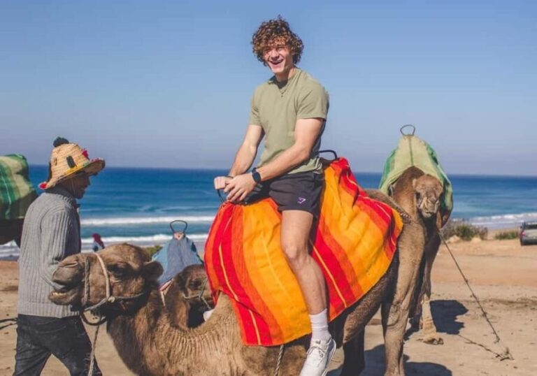 From Estepona: Tangier Day Trip with Ferry & Camel & Souk - Why This Tour Is Worth Considering