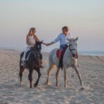 From Evora: Horseback riding on comporta beach - An In-Depth Look at the Horseback Riding Tour in Comporta