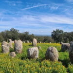 From Evora: Prehistoric Monuments and City Tour - Frequently Asked Questions