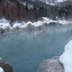 From Fairbanks: Chena Hot Springs Northern Lights Tour - What’s Included and What’s Not
