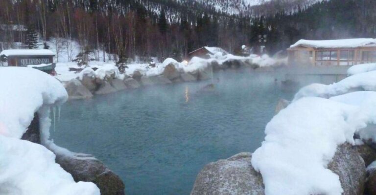 From Fairbanks: Chena Hot Springs Northern Lights Tour - What’s Included and What’s Not