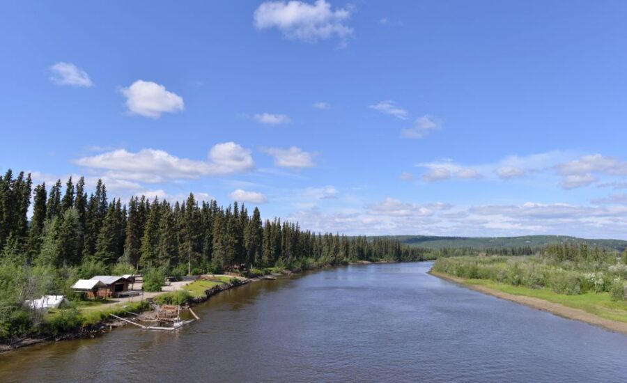From Fairbanks: Half-Day River Fishing Excursion - Final Thoughts