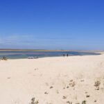From Faro: 2-Hour Guided Bird Watching Boat Trip - A Detailed Look at the Bird Watching Boat Trip