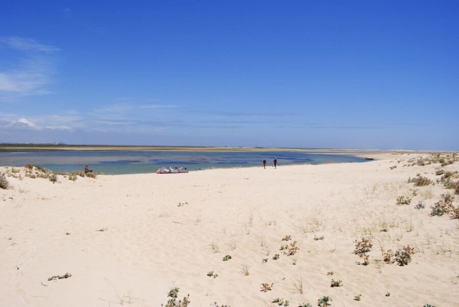From Faro: 2-Hour Guided Bird Watching Boat Trip - A Detailed Look at the Bird Watching Boat Trip