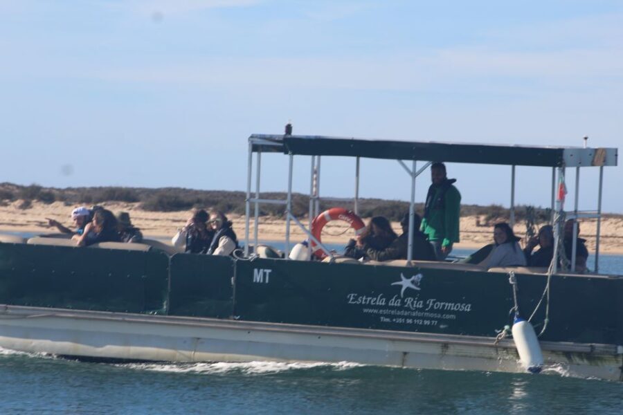 From Faro: 2-Island, 2-Stop Ria Formosa Catamaran Tour - A Detailed Look at the Ria Formosa Catamaran Tour
