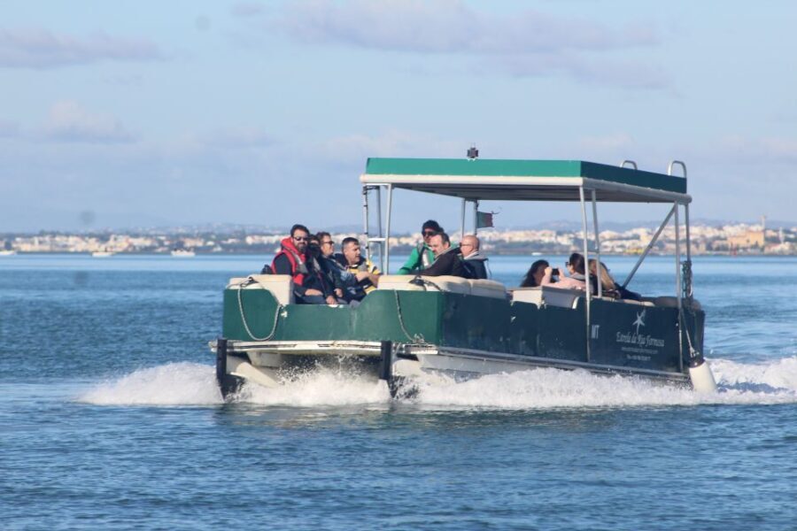 From Faro: 4 Stops, 3 Islands in Ria Formosa Catamaran Tour - The Overall Value and Experience