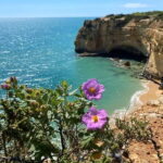 From Faro: Benagil Cave and Seven Hanging Valleys Trail Tour - The Experience in Detail: Is It Worth the Cost?