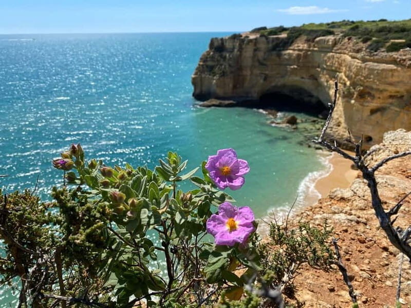 From Faro: Benagil Cave and Seven Hanging Valleys Trail Tour - The Experience in Detail: Is It Worth the Cost?
