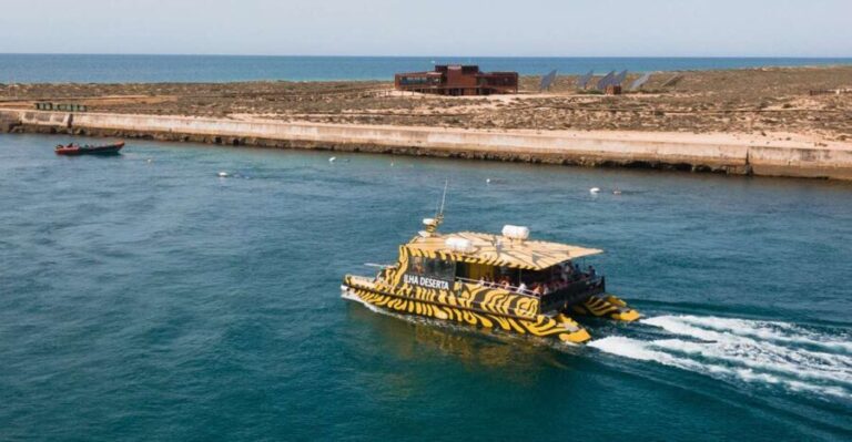 From Faro: Catamaran Boat Trip to Deserta Island with Stop - Who Is This Tour Best For?