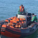 From Faro: Dolphin Watching & 2 Islands Tour - A Deep Dive into the Experience