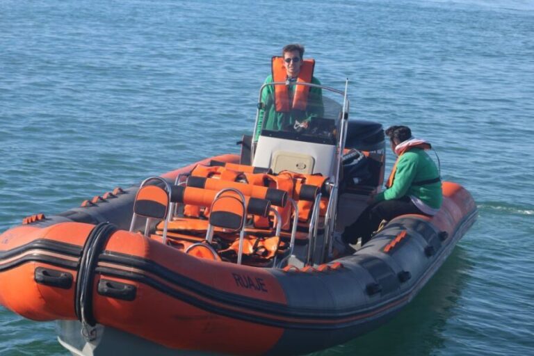 From Faro: Dolphin Watching & 2 Islands Tour - A Deep Dive into the Experience