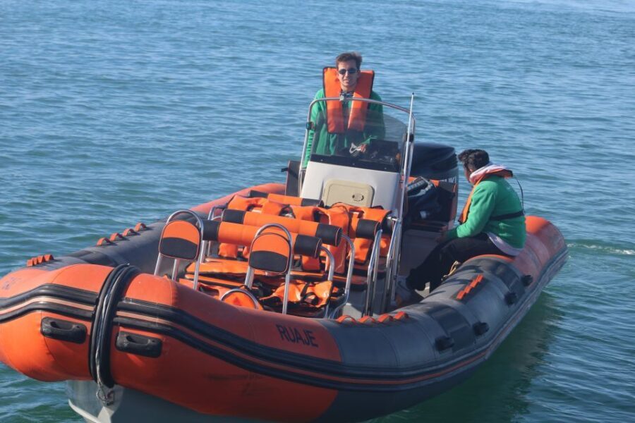 From Faro: Dolphin Watching & 2 Islands Tour - A Deep Dive into the Experience