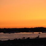 From Faro: Ria Formosa Sunset Boat Trip - The Sum Up: Is This Tour Right for You?