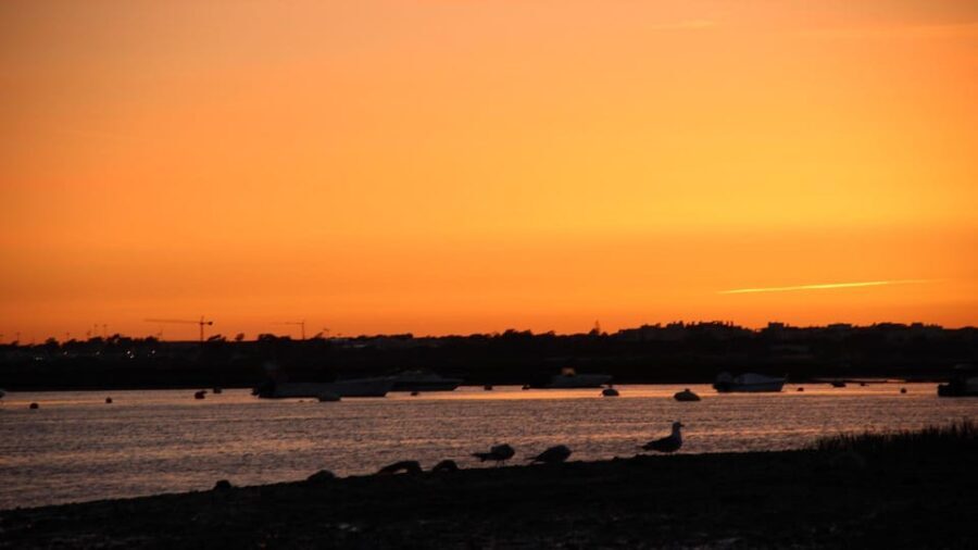 From Faro: Ria Formosa Sunset Boat Trip - The Sum Up: Is This Tour Right for You?