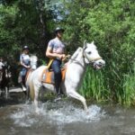 From Fethiye: Horse Riding Adventure - The Sum Up: Is It Worth Your Time?