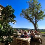 From Florence: Chianti Half-Day Afternoon Tour - A Detailed Look at the Tour Experience