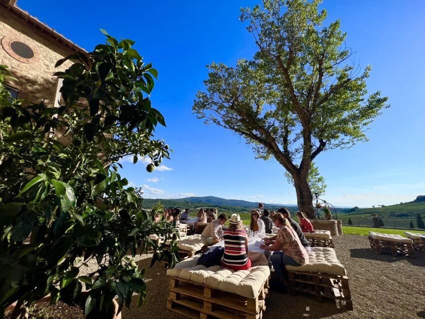 From Florence: Chianti Half-Day Afternoon Tour - A Detailed Look at the Tour Experience