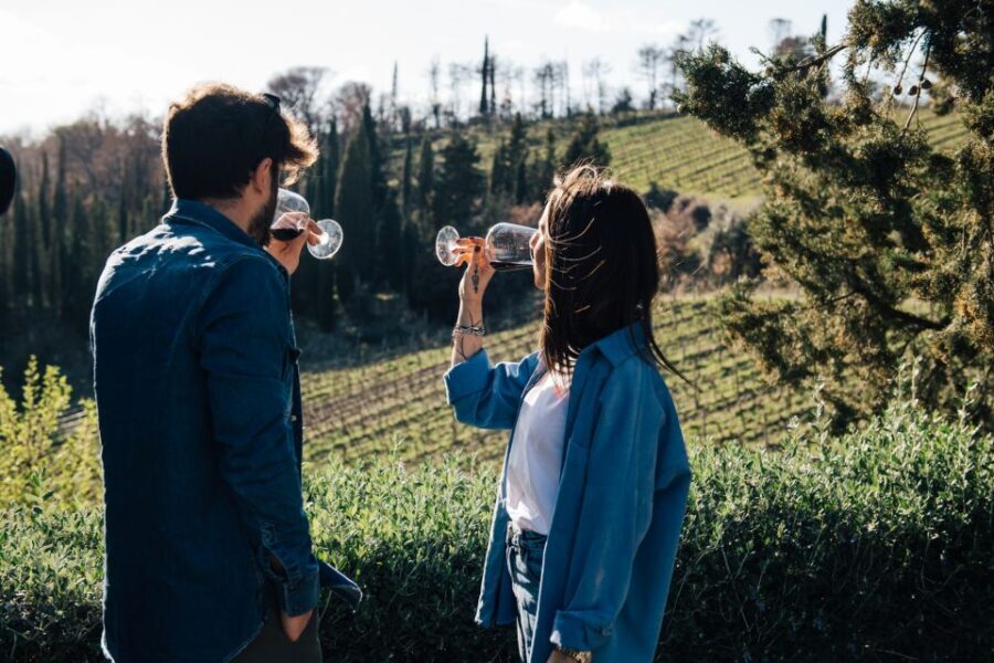 From Florence: Chianti Hills Half-Day Tour with Wine Tasting - What Do You Get for the Price?