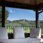 From Florence PRIVATE:Bolgheri Wine Tour,tasting among the Tuscany coastal hills - Why This Tour Offers Great Value