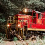 From Fort Bragg: Redwoods Train Ride and Nightclub Ticket - In-Depth Review of the Redwoods Train Ride and Nightclub in Fort Bragg