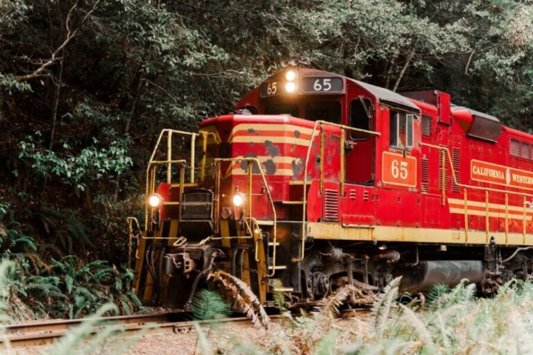 From Fort Bragg: Redwoods Train Ride and Nightclub Ticket - In-Depth Review of the Redwoods Train Ride and Nightclub in Fort Bragg