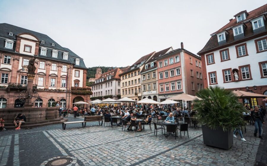 From Frankfurt: Day Tour to Heidelberg with Local Guide - Authenticity and Value