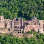 from Frankfurt: Heidelberg, Mercedes Museum / Schwetzinger Schloß - What Travelers Are Saying