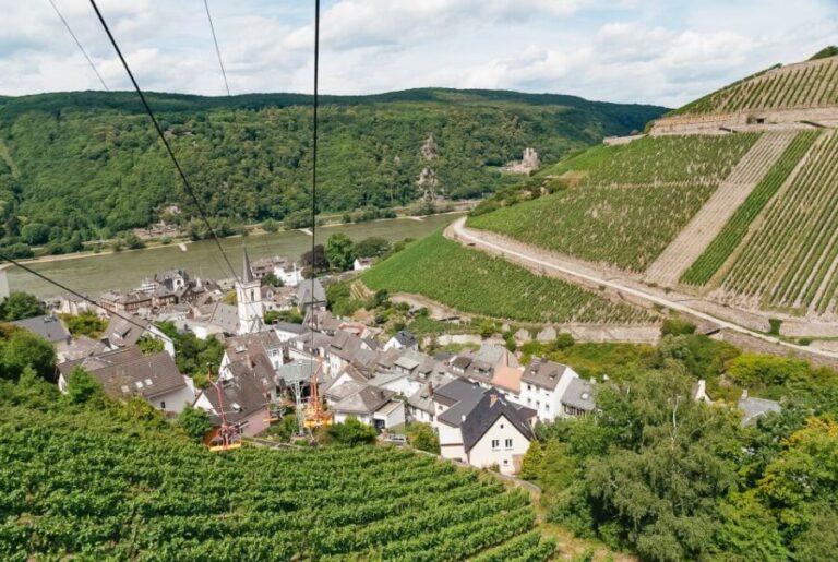 From Frankfurt: Rhine Valley Day Trip - What’s Included and What’s Not