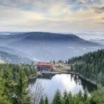 from Frankfurt - romantic Black Forest & brewery, private tour - Practical Considerations and Value