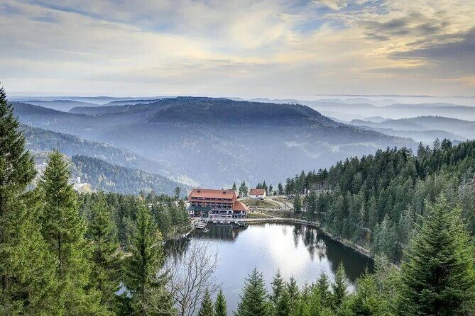 from Frankfurt - romantic Black Forest & brewery, private tour - Practical Considerations and Value