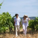 From Fréjus: Van tour to the heart of the Provençal vineyards - The Value of the Experience