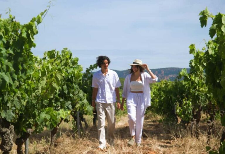 From Fréjus: Van tour to the heart of the Provençal vineyards - The Value of the Experience