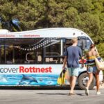From Fremantle: Rottnest Island Ferry & Bus Day Tour - A Deep Dive Into the Rottnest Island Experience