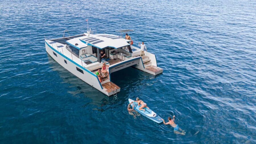 From Funchal: 10-Hour Luxury Tour to Desertas Islands - An In-Depth Look at the Experience