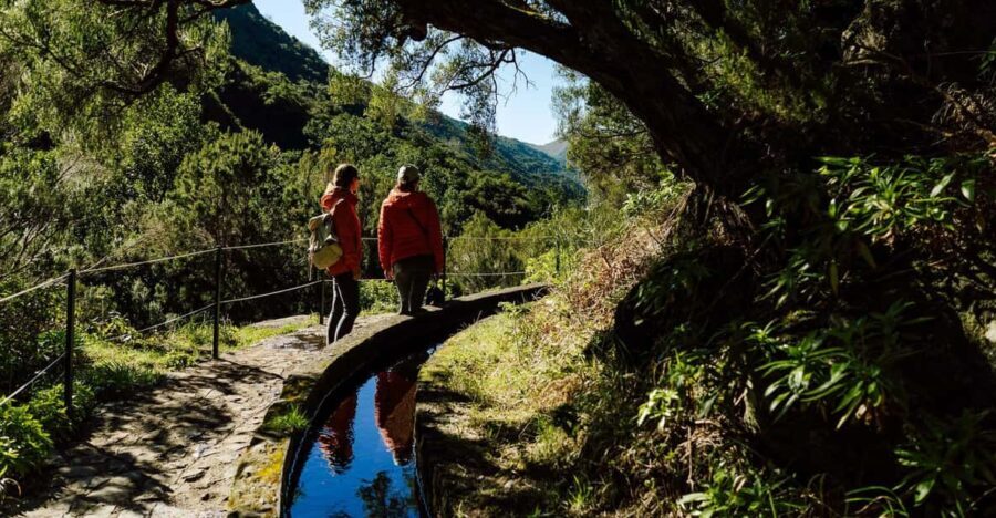 From Funchal/Caniço: Rabaçal Hike (25 Fontes) Bus Transfer - Who Is This Tour Best For?