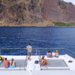 From Funchal: Ecological Catamaran Dolphin Whale Watching - Summary and Who Should Book