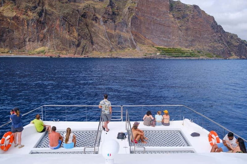 From Funchal: Ecological Catamaran Dolphin Whale Watching - Summary and Who Should Book