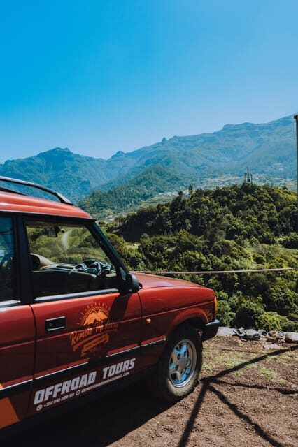 From Funchal: Guided Climbing Tour, with Pick-up - Exploring the Details of the Madeira Climbing Tour