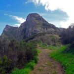 From Funchal: Machico to Porto da Cruz Larano Cliff Hike - An In-Depth Look at the Larano Cliff Hike