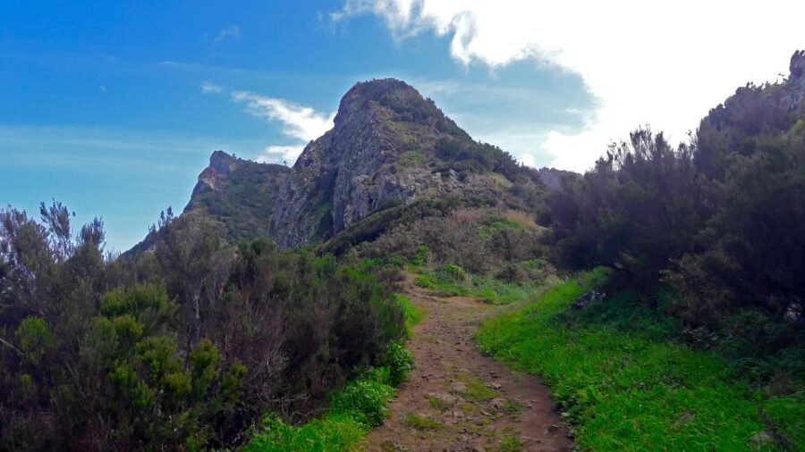 From Funchal: Machico to Porto da Cruz Larano Cliff Hike - An In-Depth Look at the Larano Cliff Hike