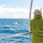From Funchal: Madeira Dolphin and Whale Watching Tour - An In-Depth Review of the Madeira Dolphin and Whale Watching Experience